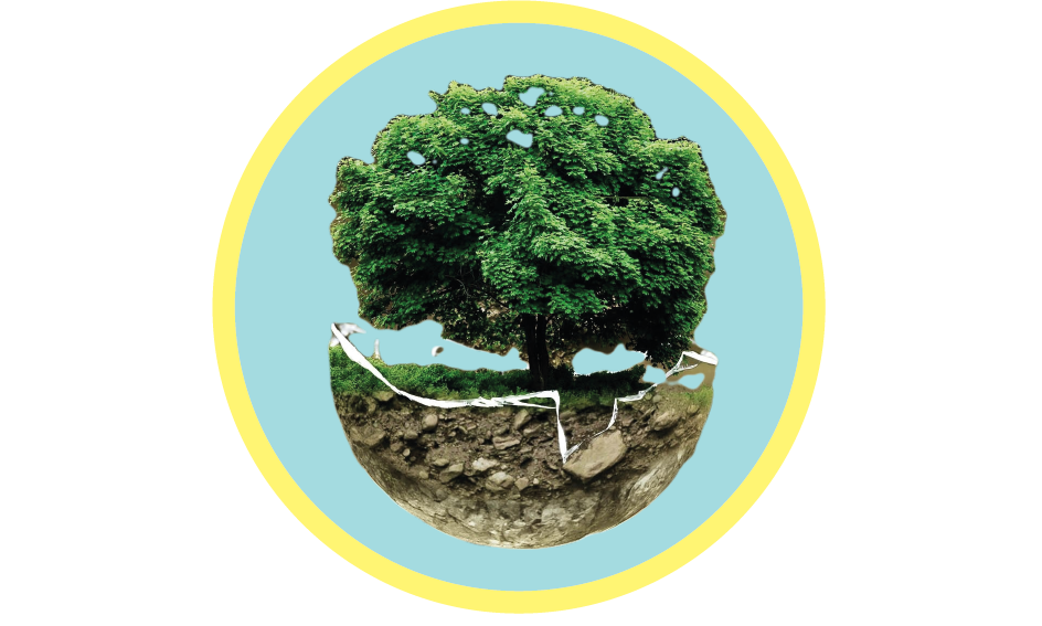 Bilan de compétences : Permaculture humaine et emotionnelle